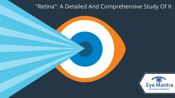 “Retina”: A Detailed And Comprehensive Study Of It