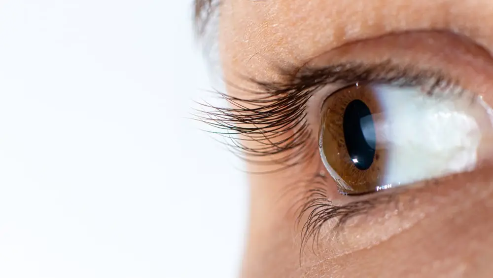 Understanding Keratoconus and Its Impact on Vision